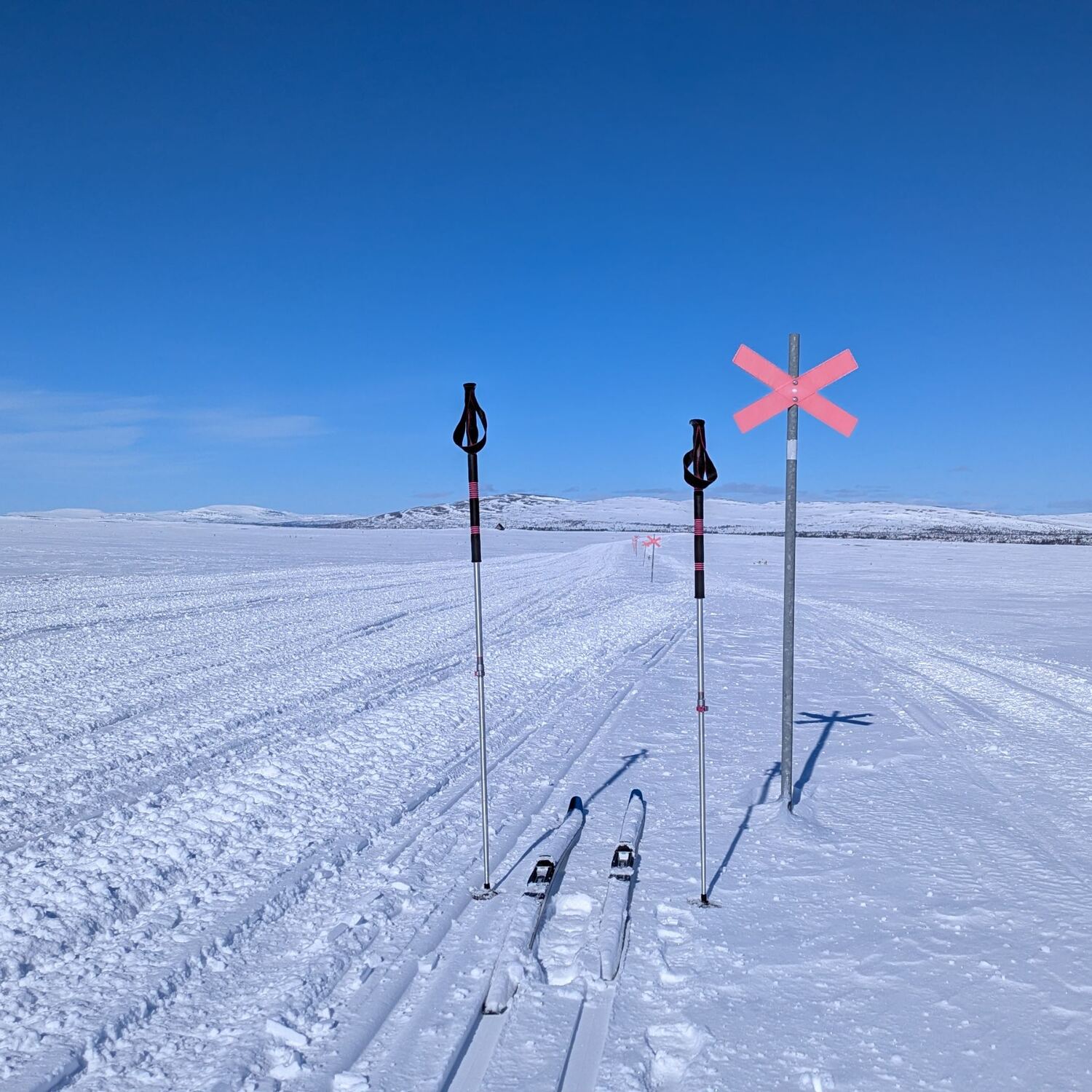 Skitour Kungsleden☀️❄️🫎🇸🇪🎒