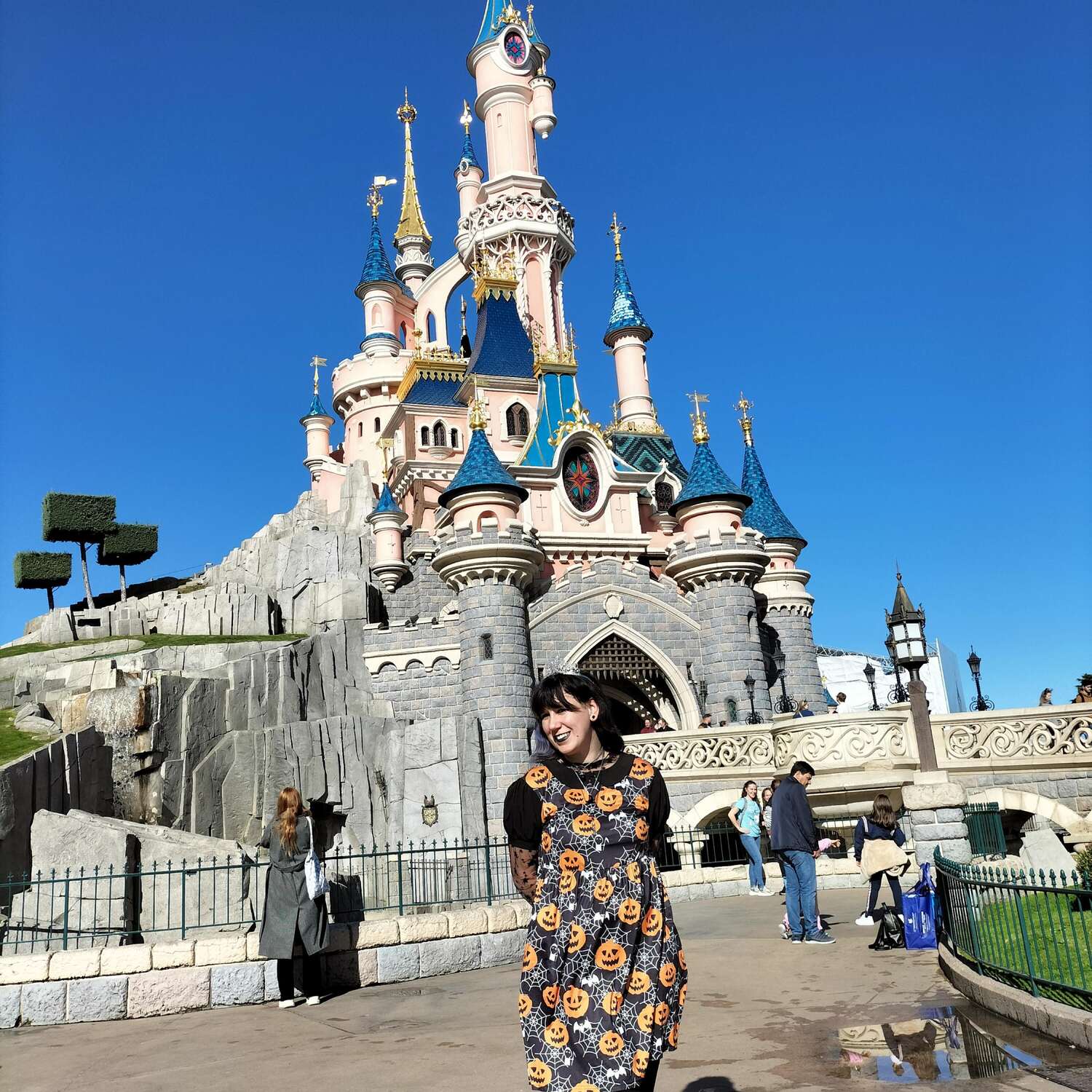 Disneyland- potentially a bad