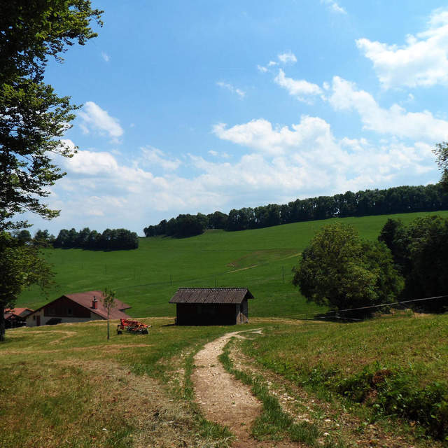Trans Swiss Trail