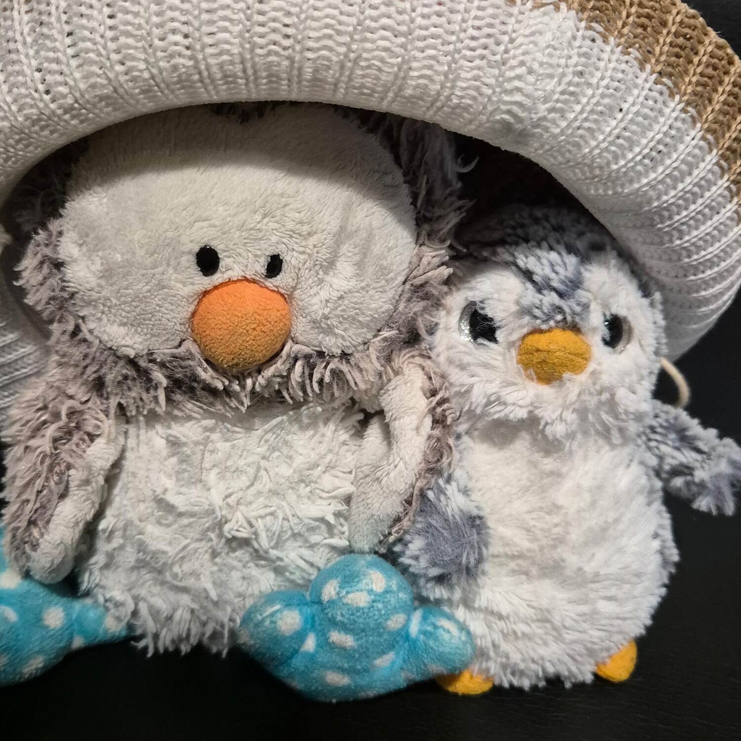 South Africa & Mauritius