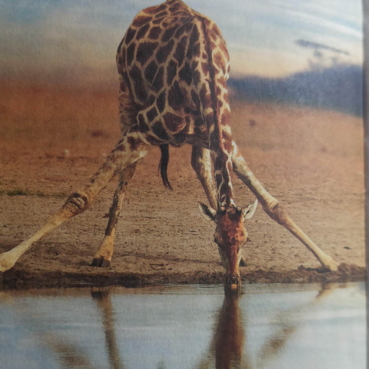 Namibia/Botswana 2024