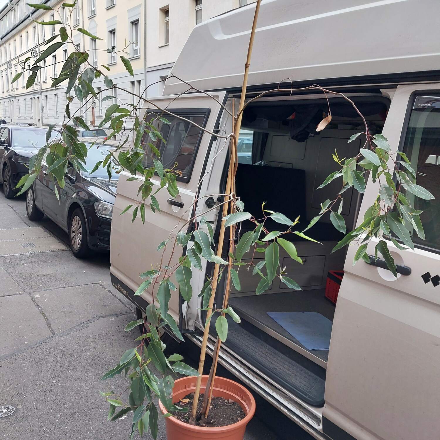 Mission nach Südfrankreich