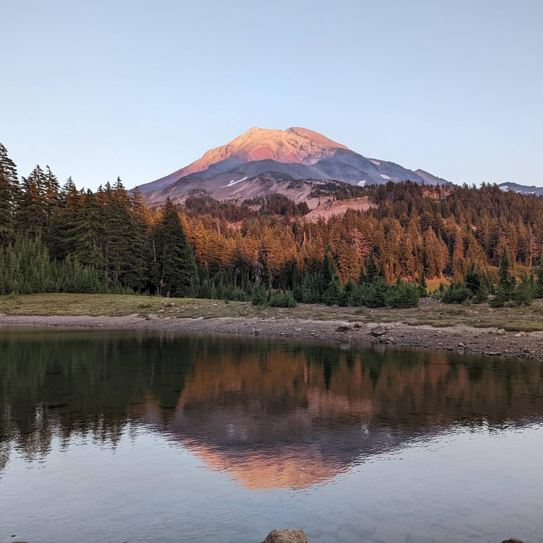 PCT 2023