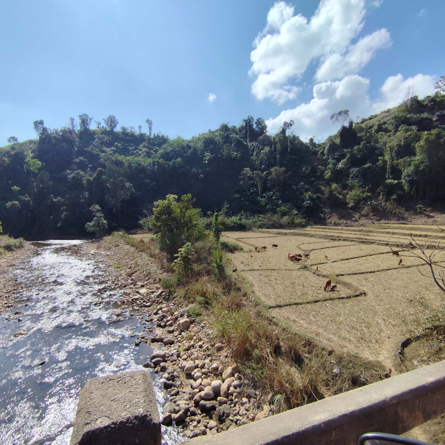 Laos