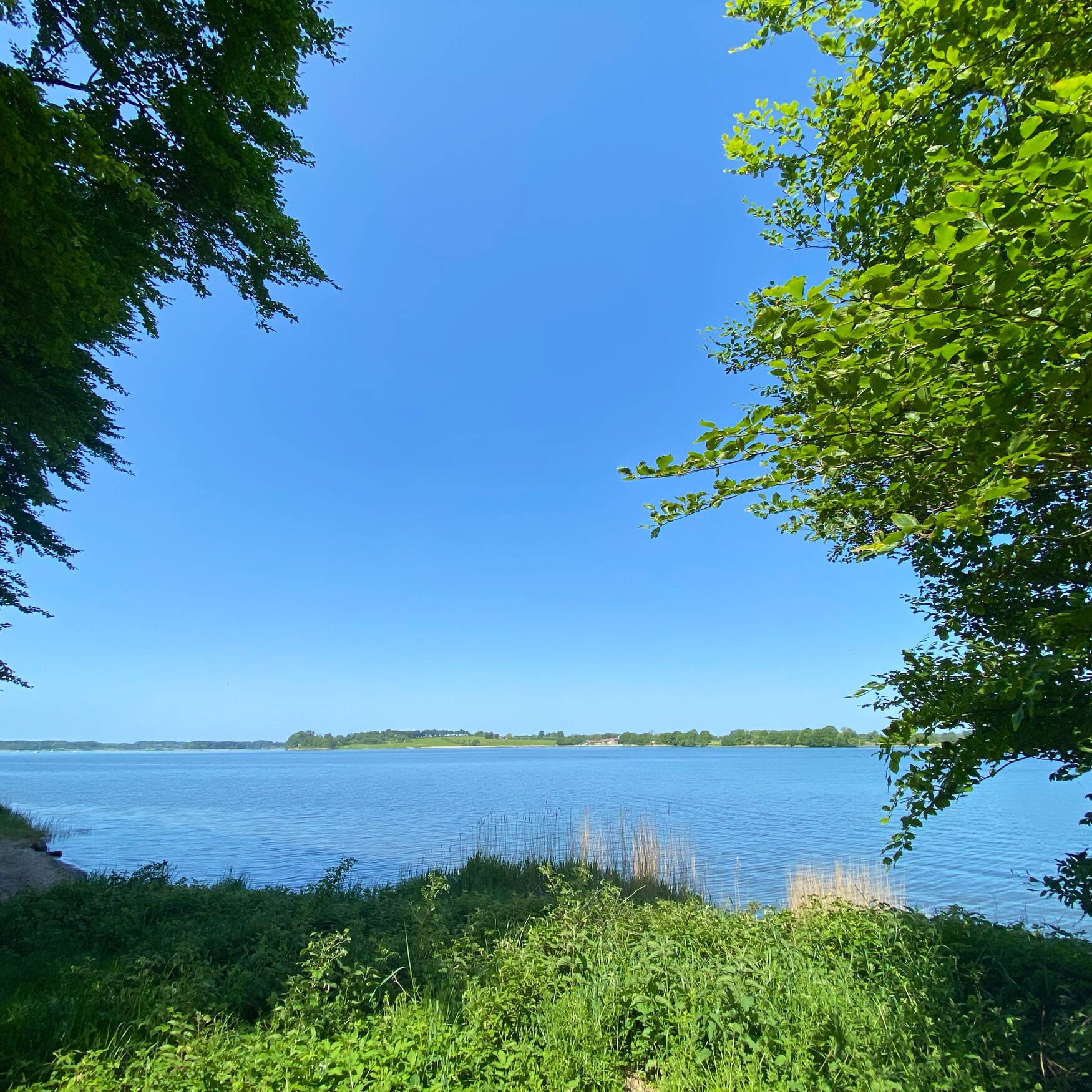 Pfingsttage an der Schlei