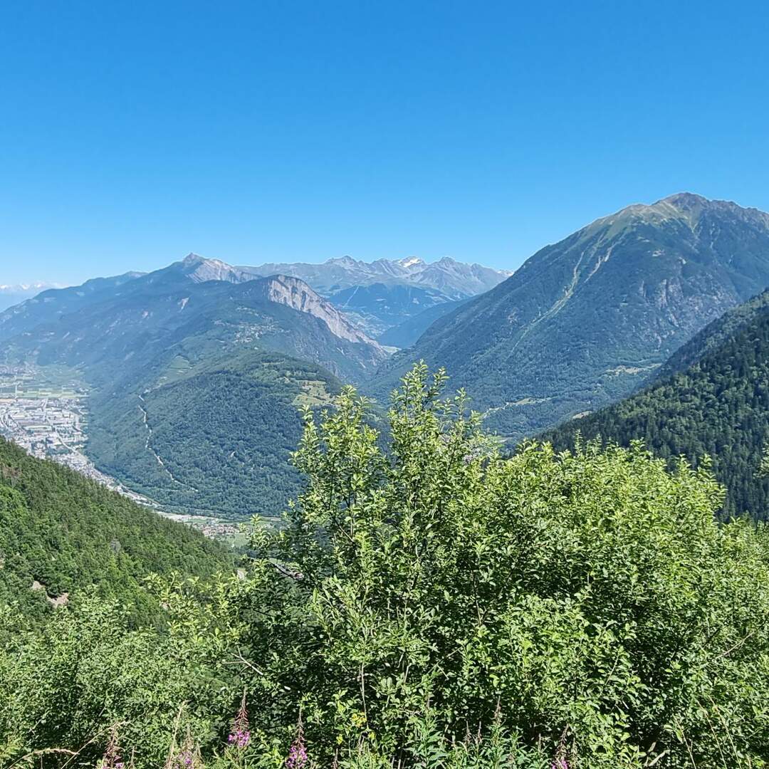 Töfftour der Sonne entgegen...