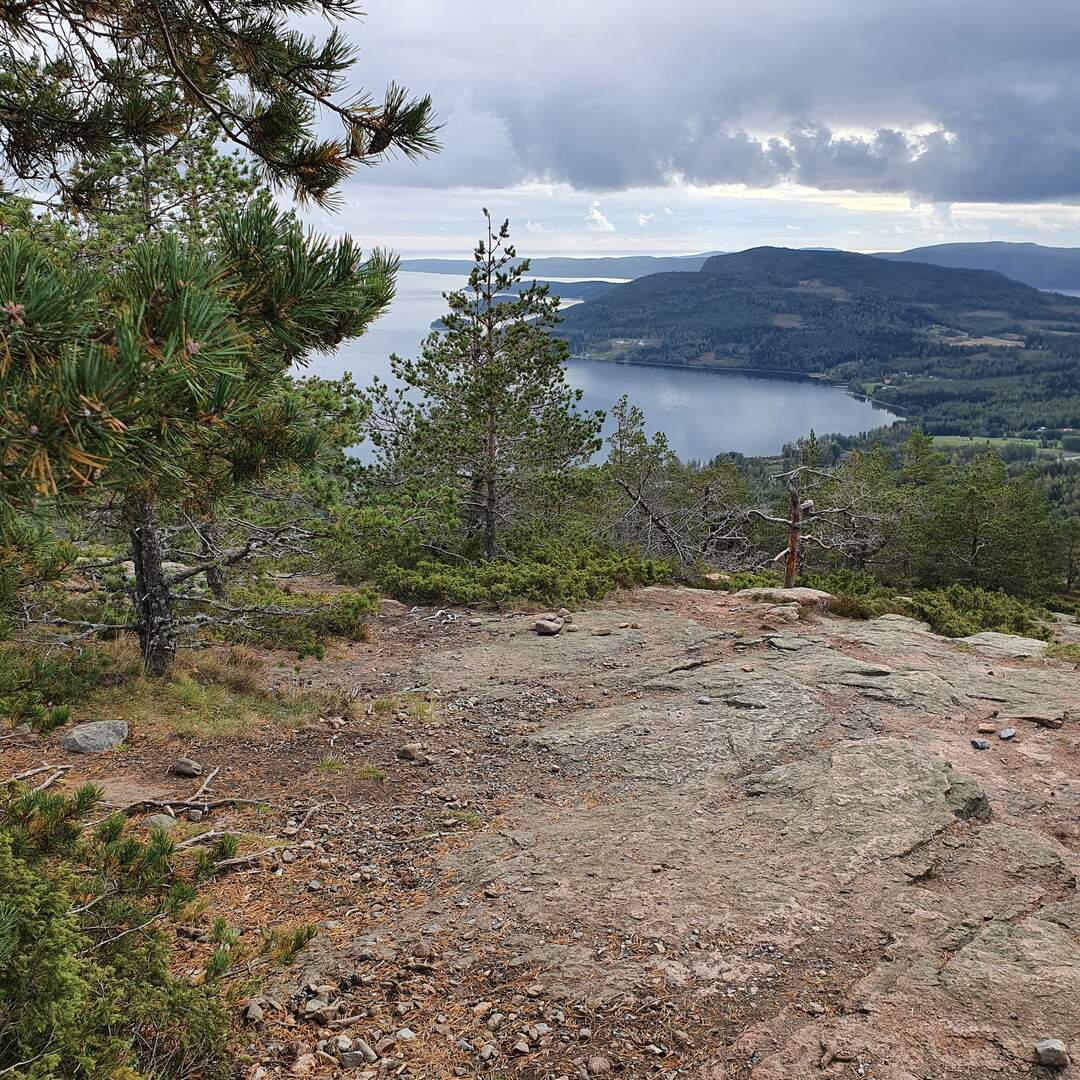Schweden 2021