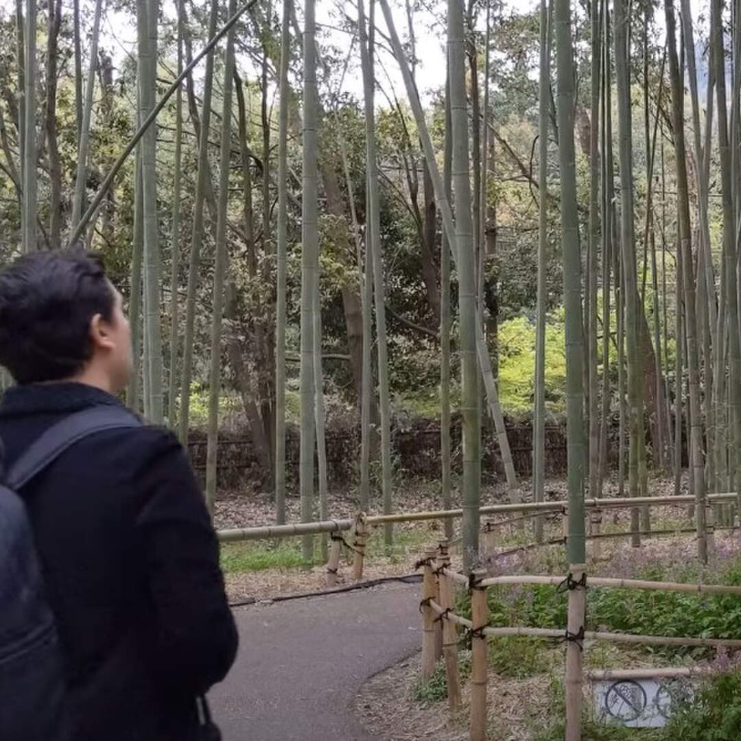 Trip to Japan
