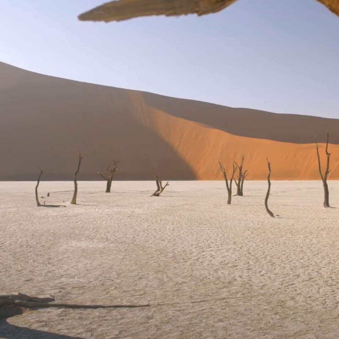 Trip to Sossusvlei, Namibia