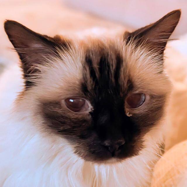 M. F.