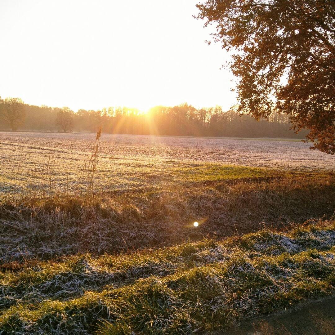 Biketour nach Bratislava