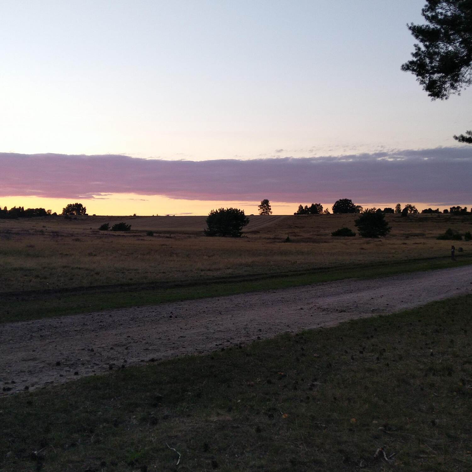 Heidschnuckenweg die 2.