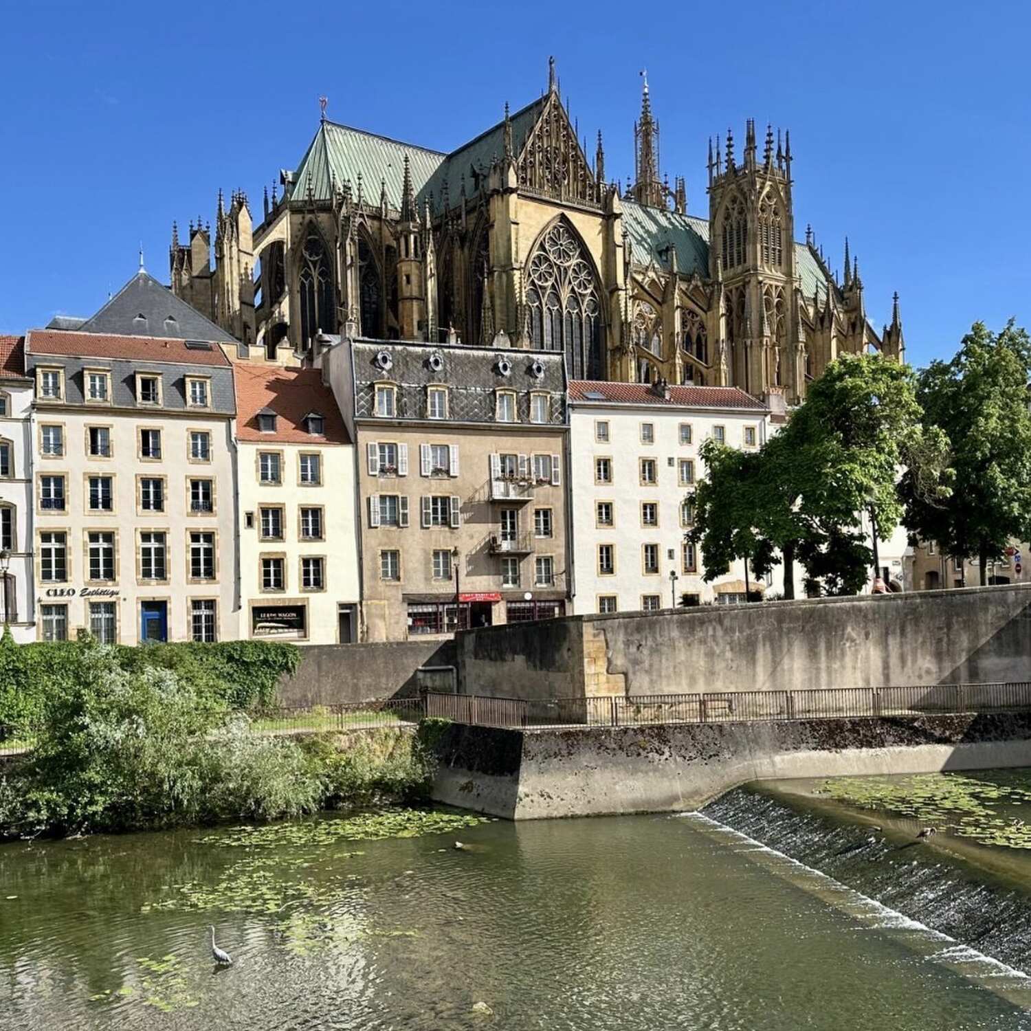 Metz 2026