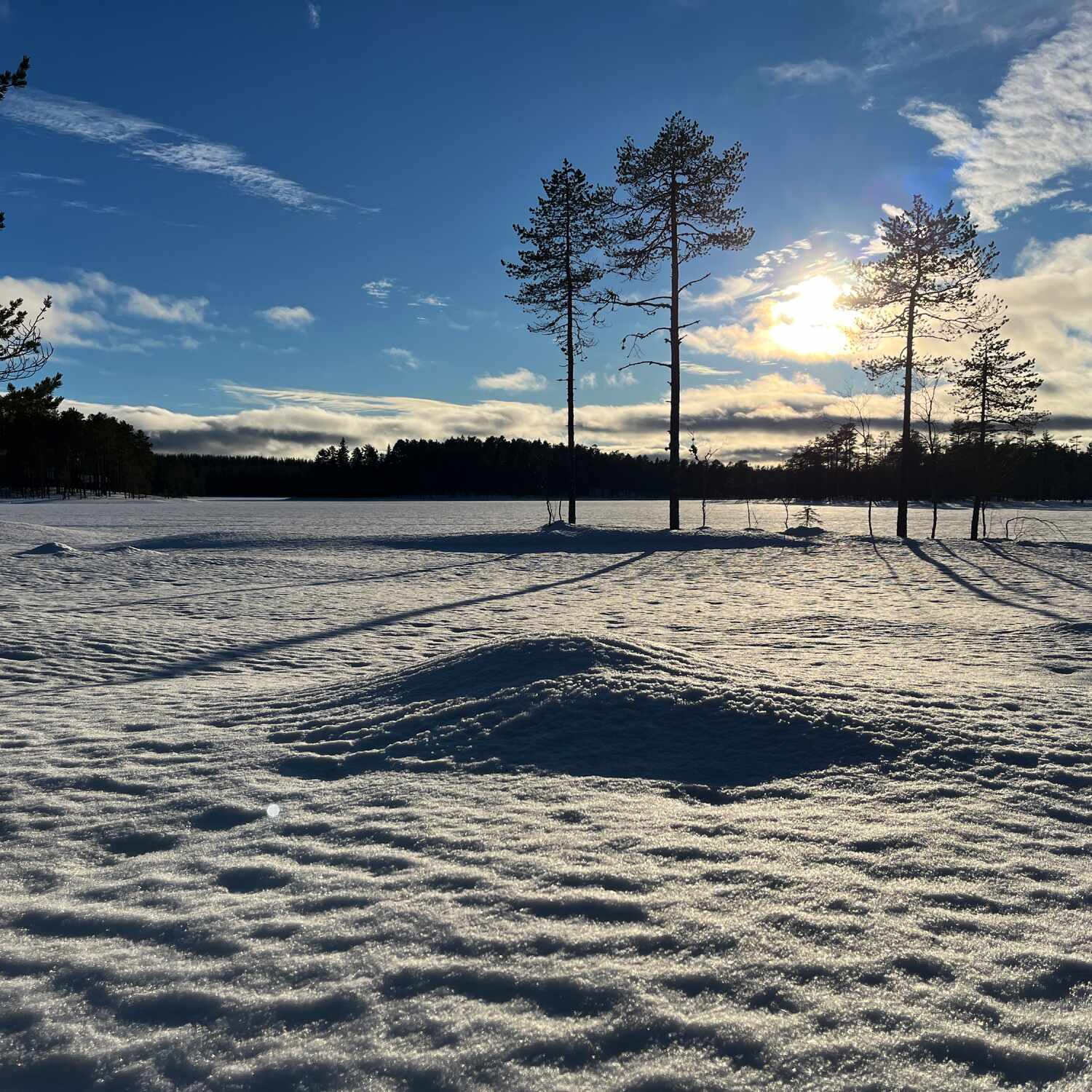 Unterwegs in Schweden - Vasaloppet