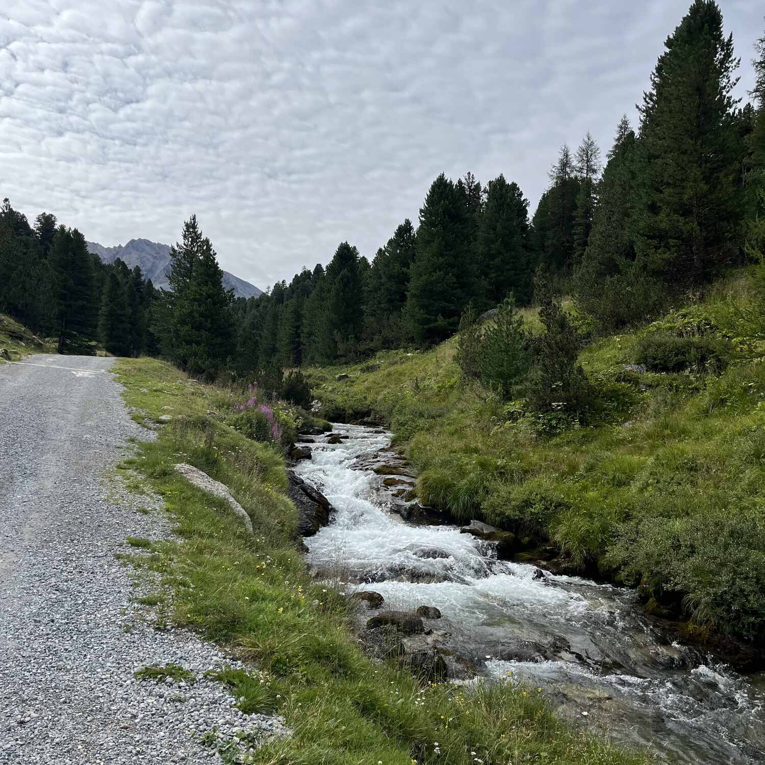 Unterwegs in den Alpen