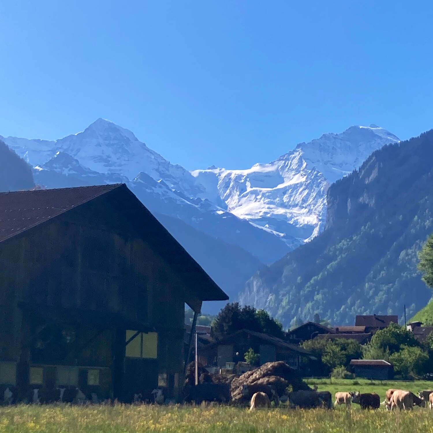 Schweiz
