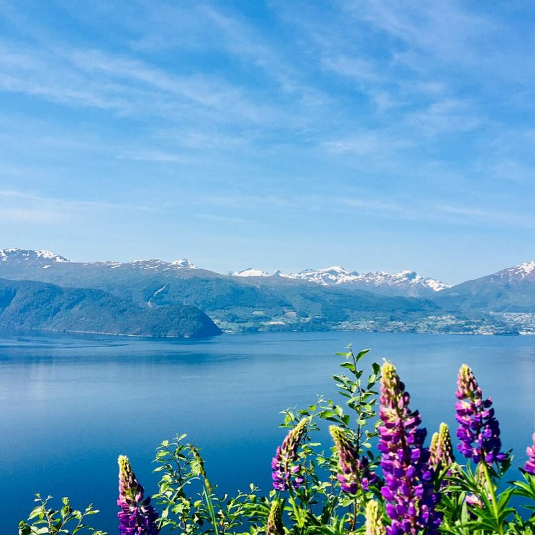 Norwegen 2019