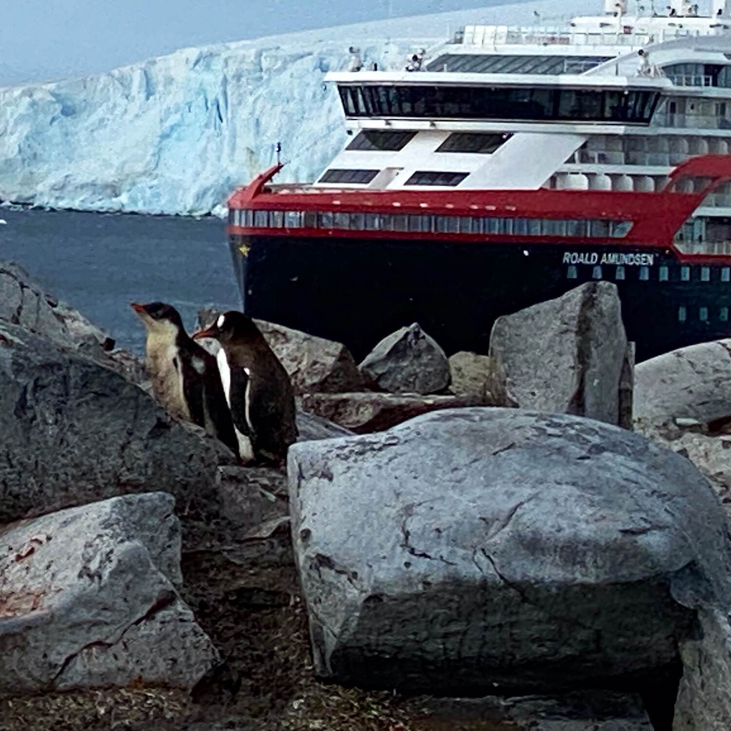 Antarctica and the Falklands