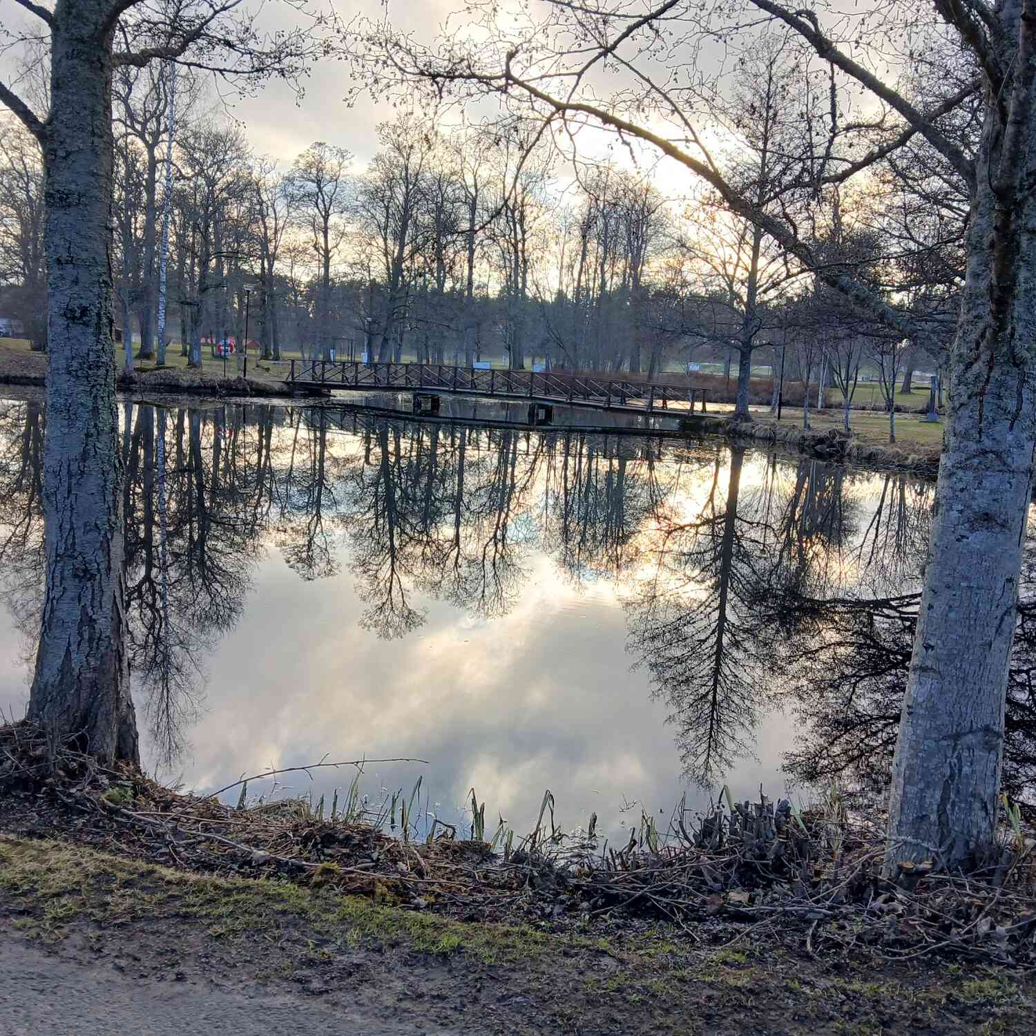 Bort från snön ett tag