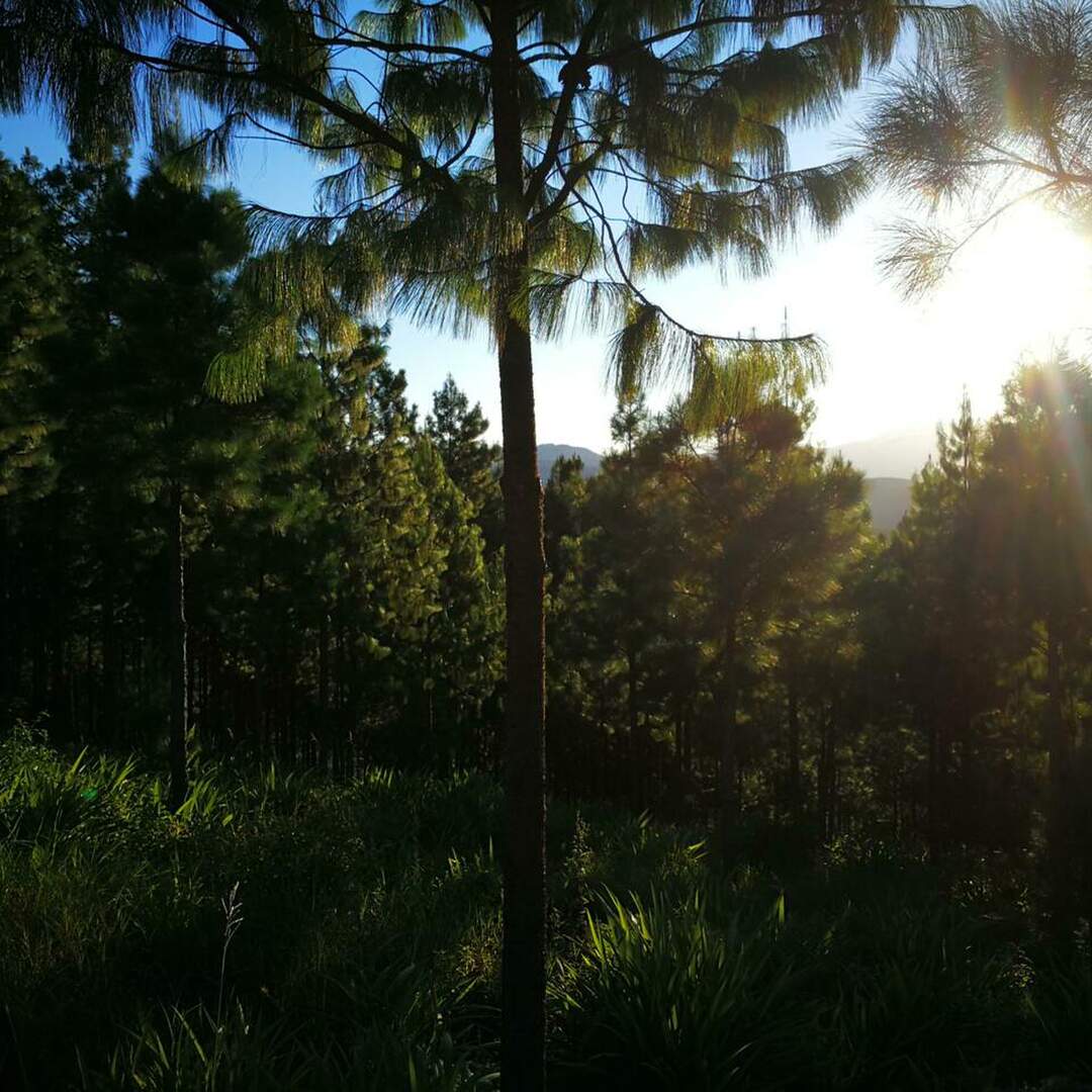 Südafrika