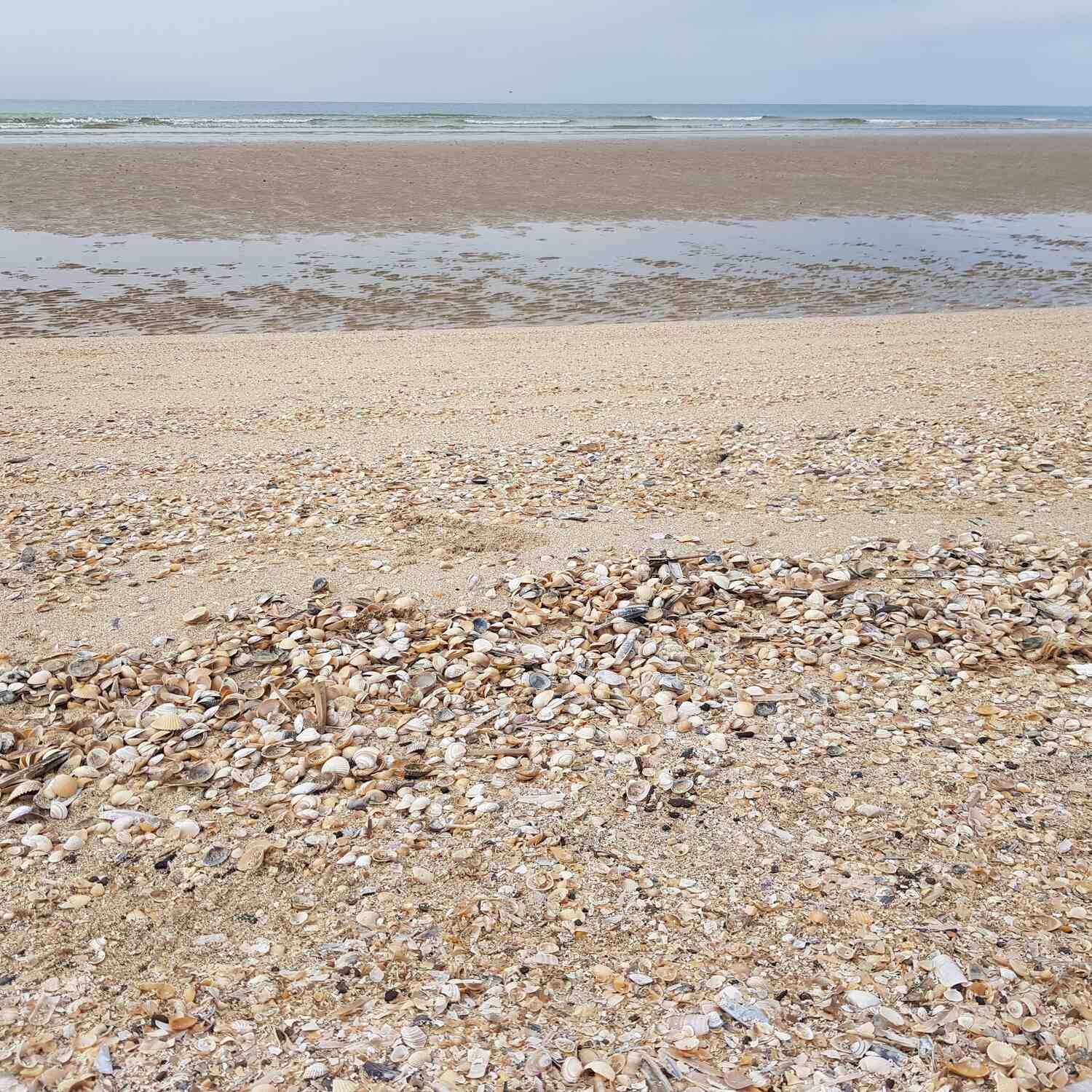 Blåvand, DK