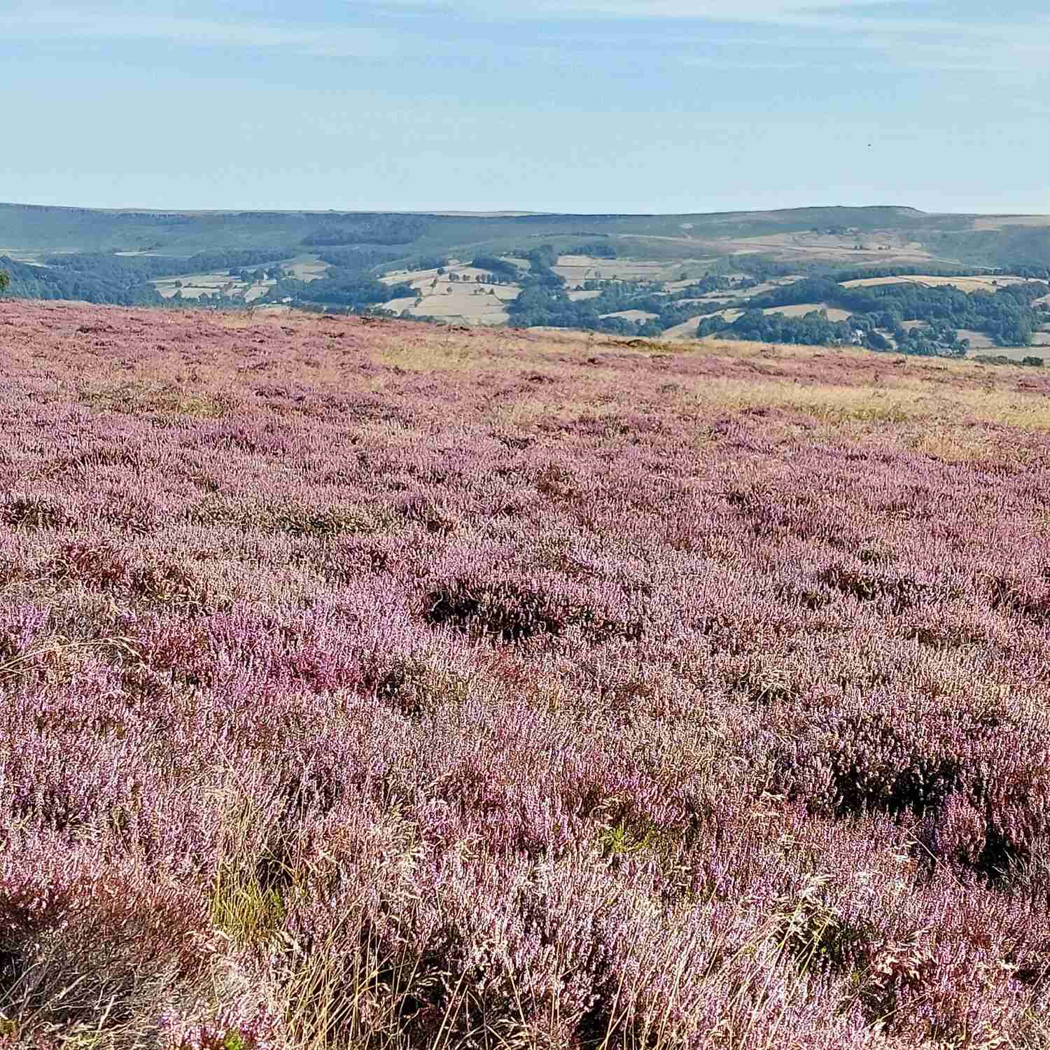 Derbyshire; The Peak District