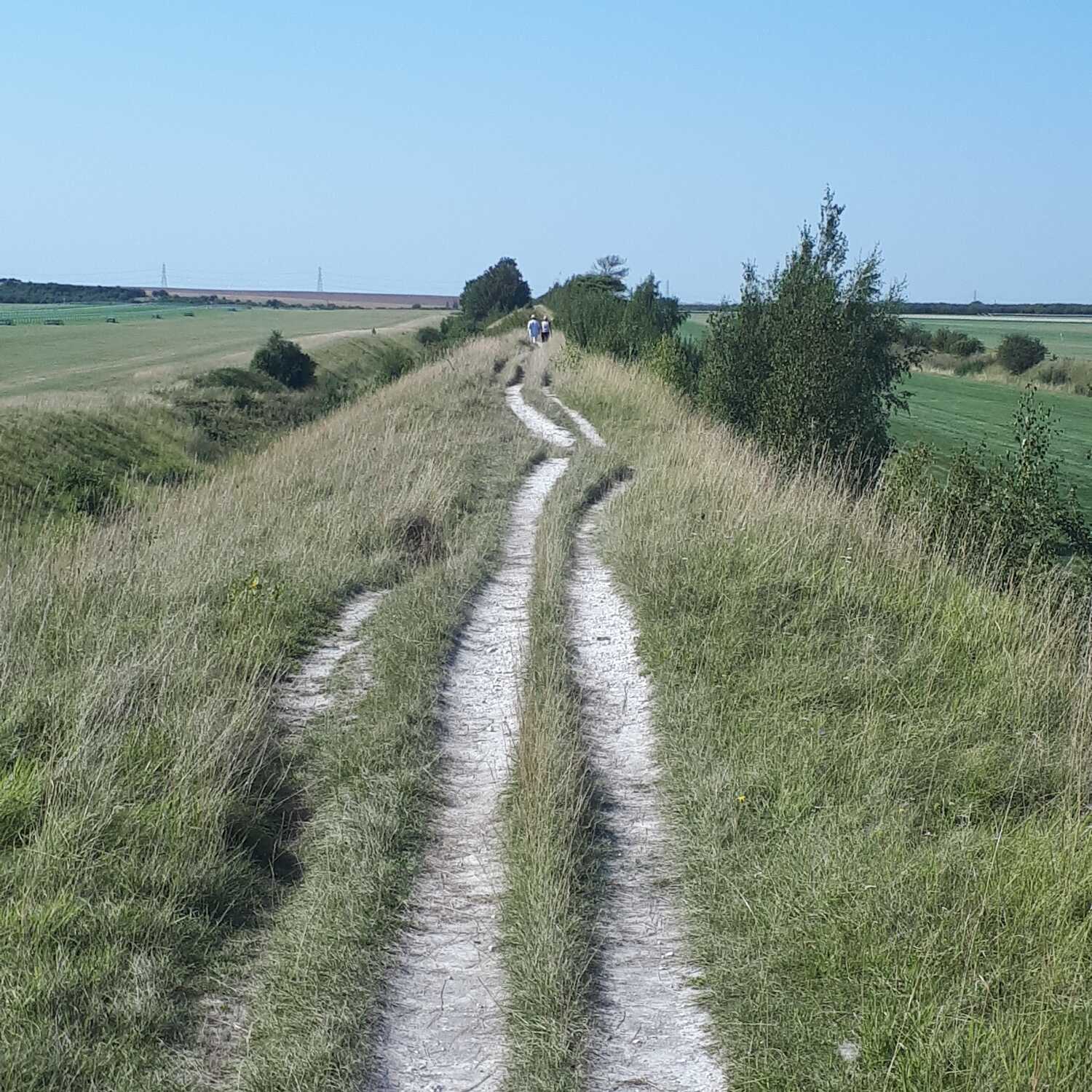 The Cambridgeshire Dykes