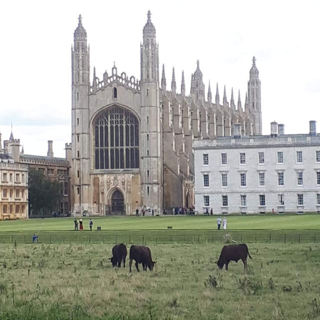 Cambridgeshire; Cambridge City