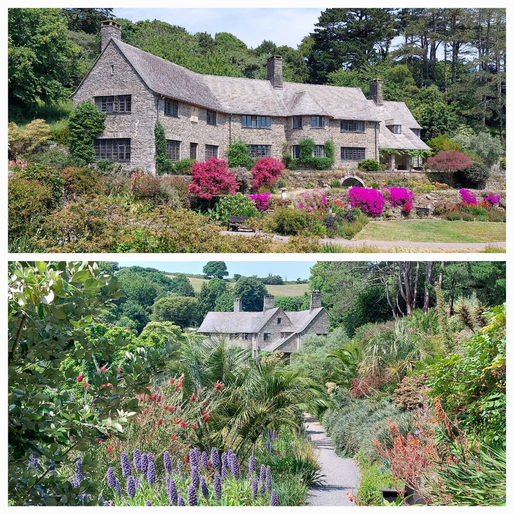 Devon