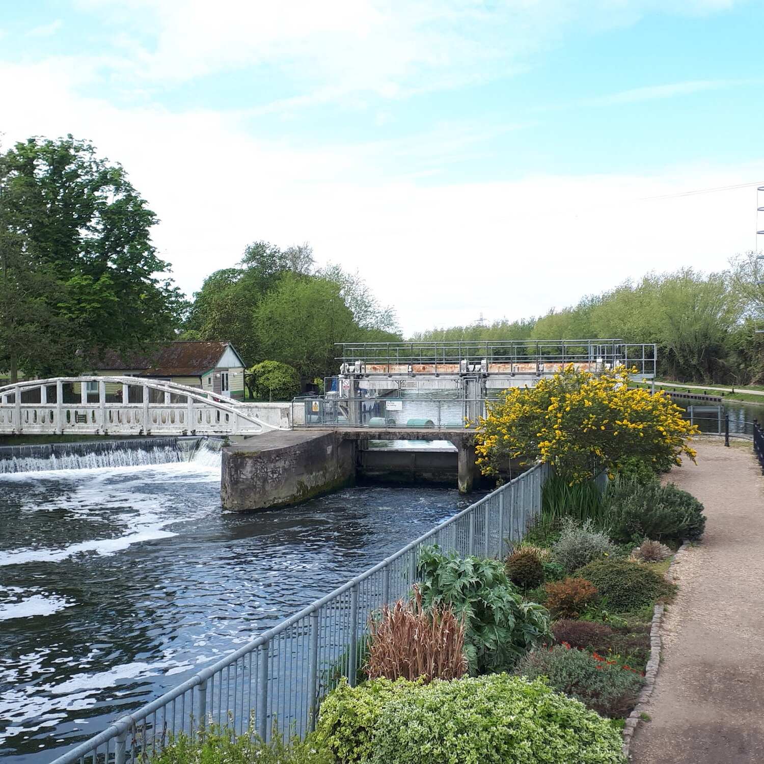 The River Cam