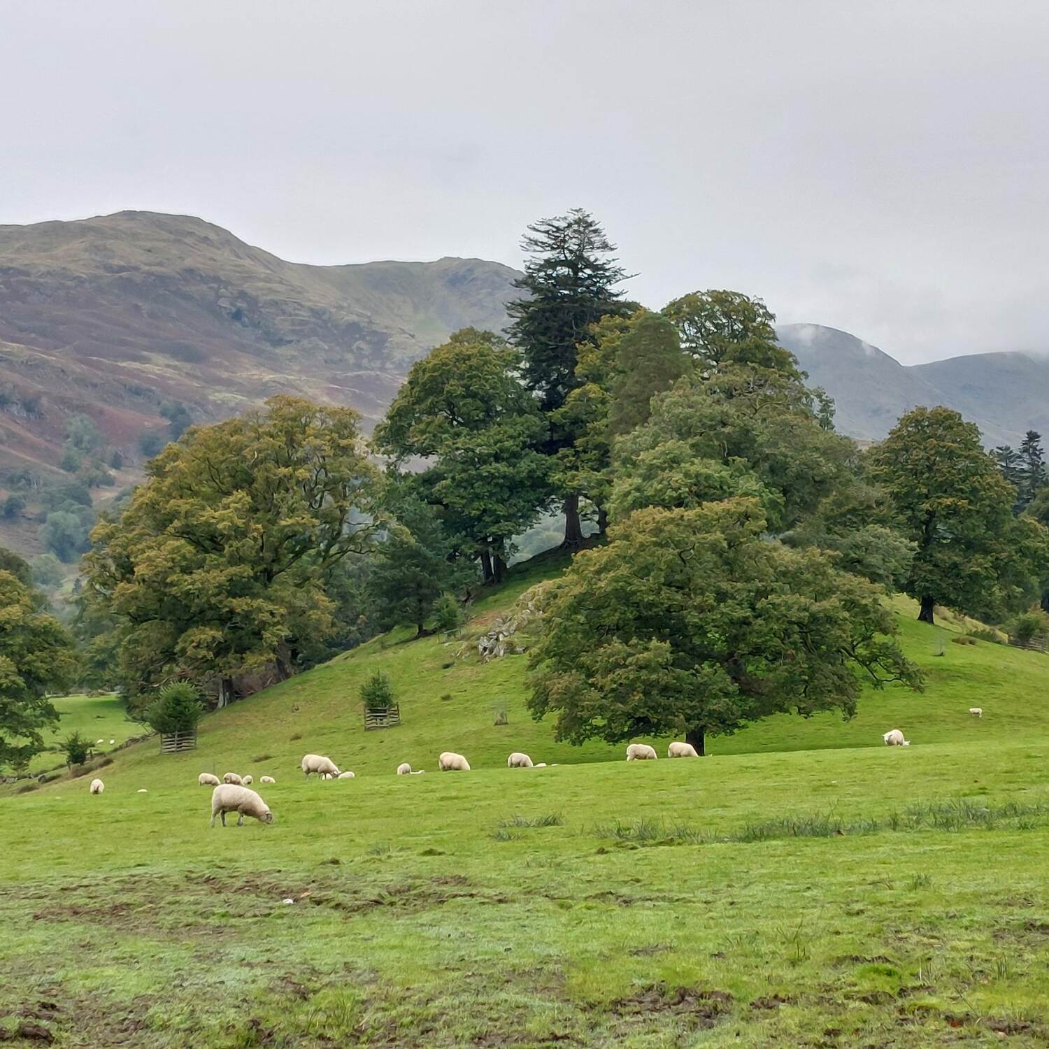 Central/Southern Lake District