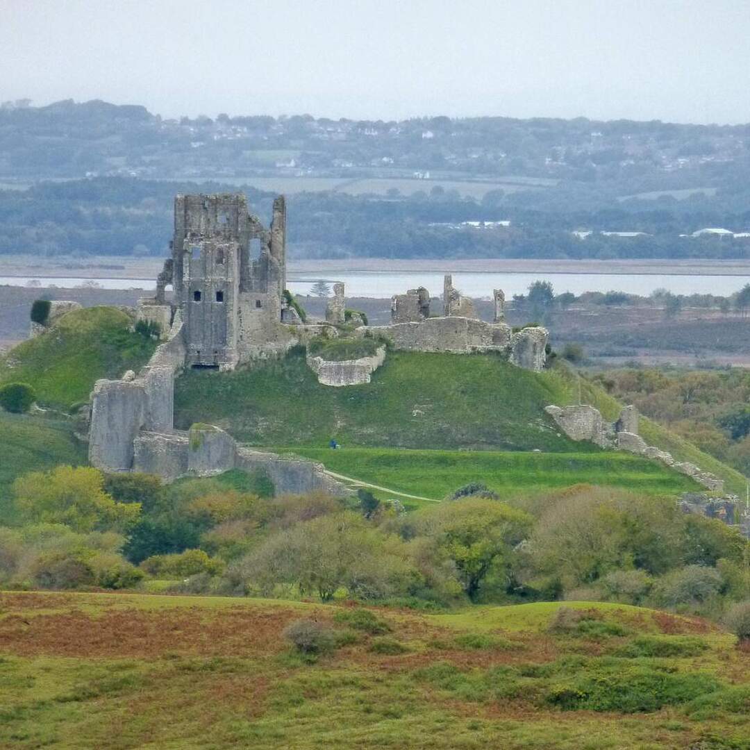 Dorset
