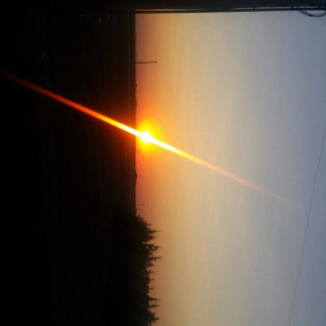 McDaniel Family Reunion