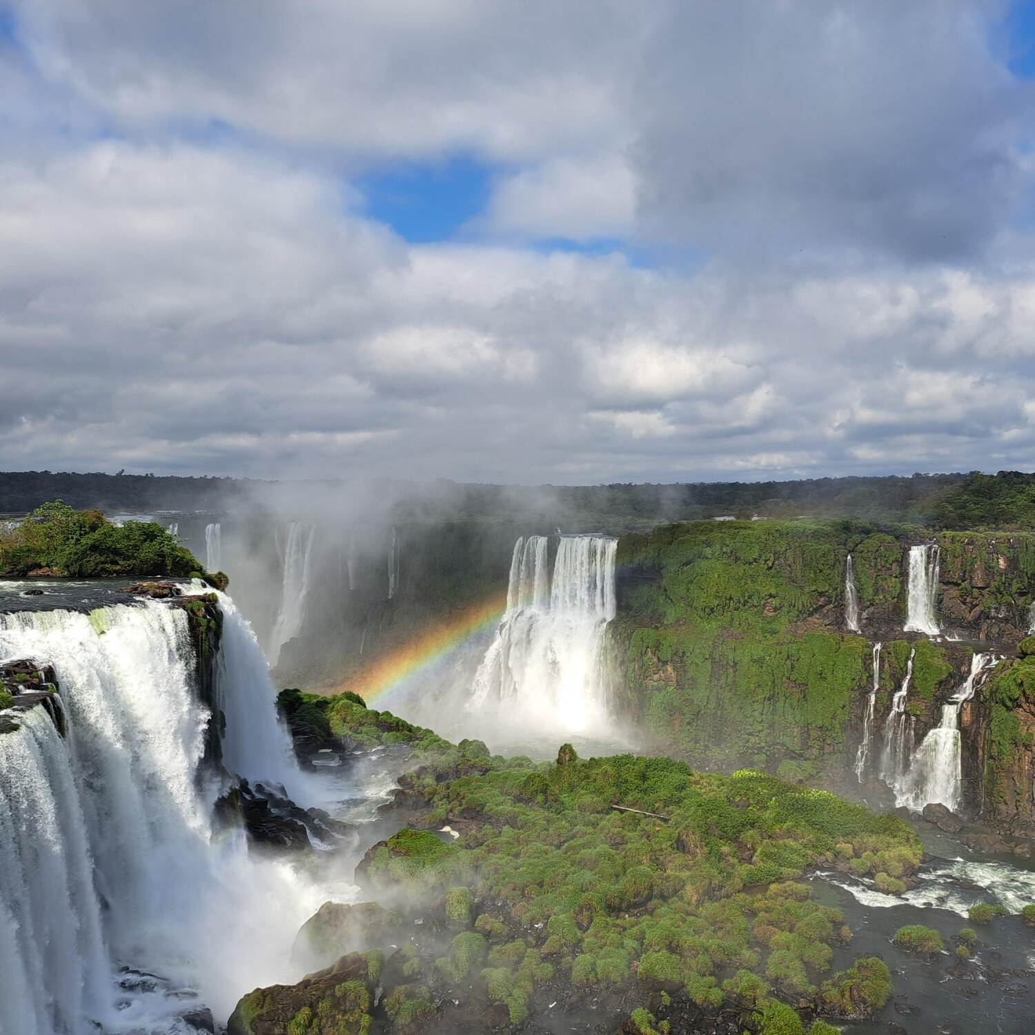 Argentine