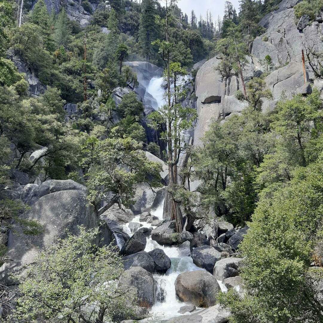 In Mariposa