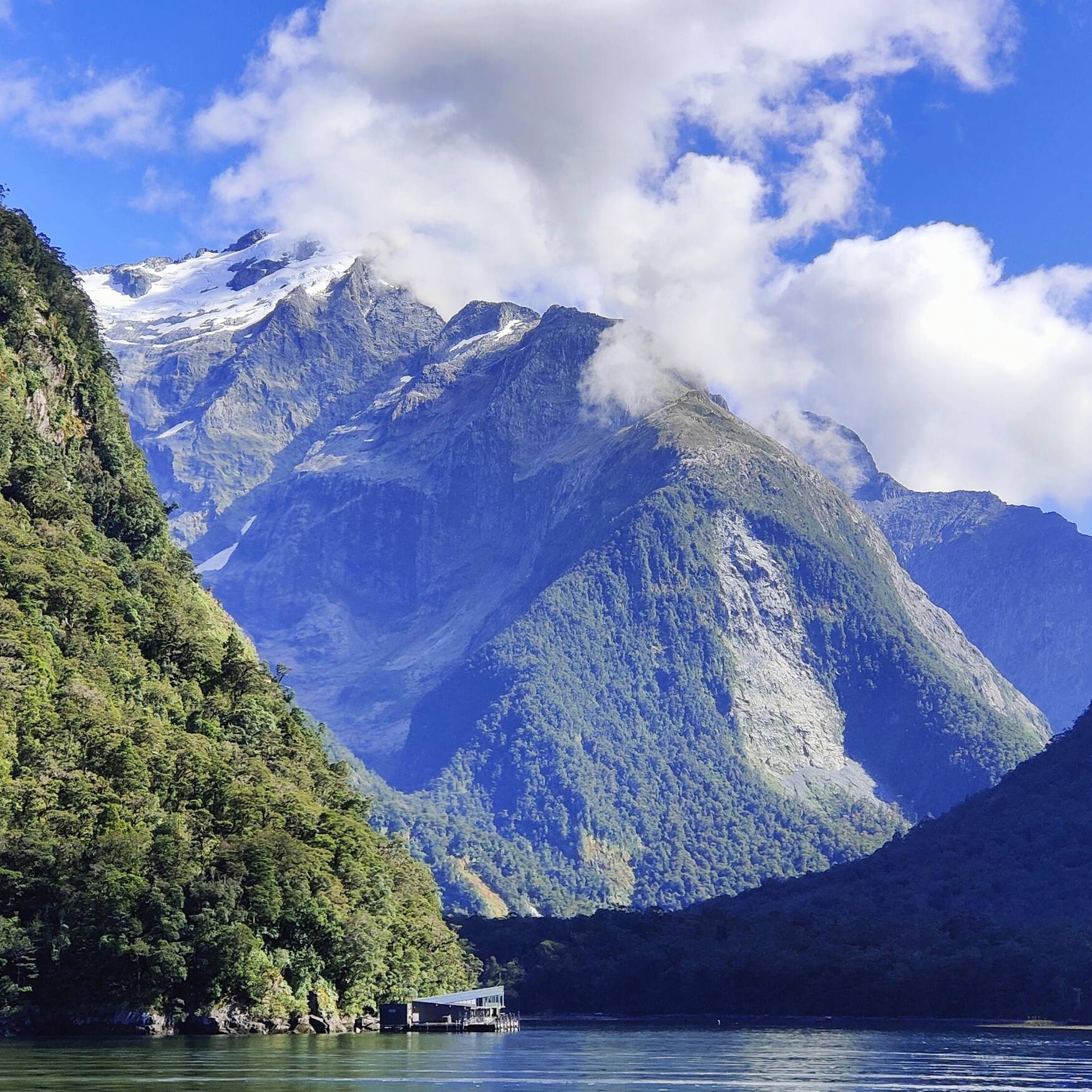 New Zealand Family Road Trip