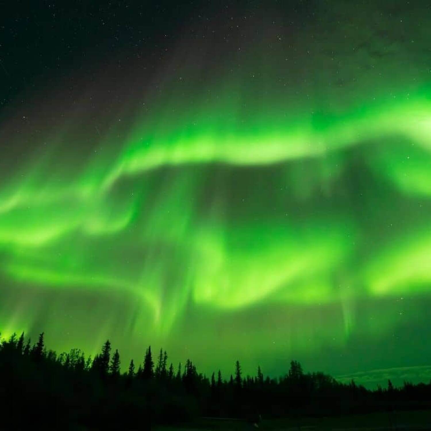 Northern Lights