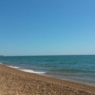 39. Tag in Brighton 19.7.16
