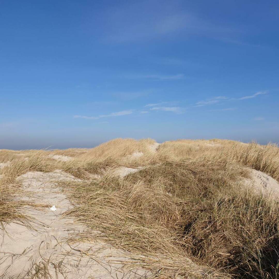 Dänemark/Schweden