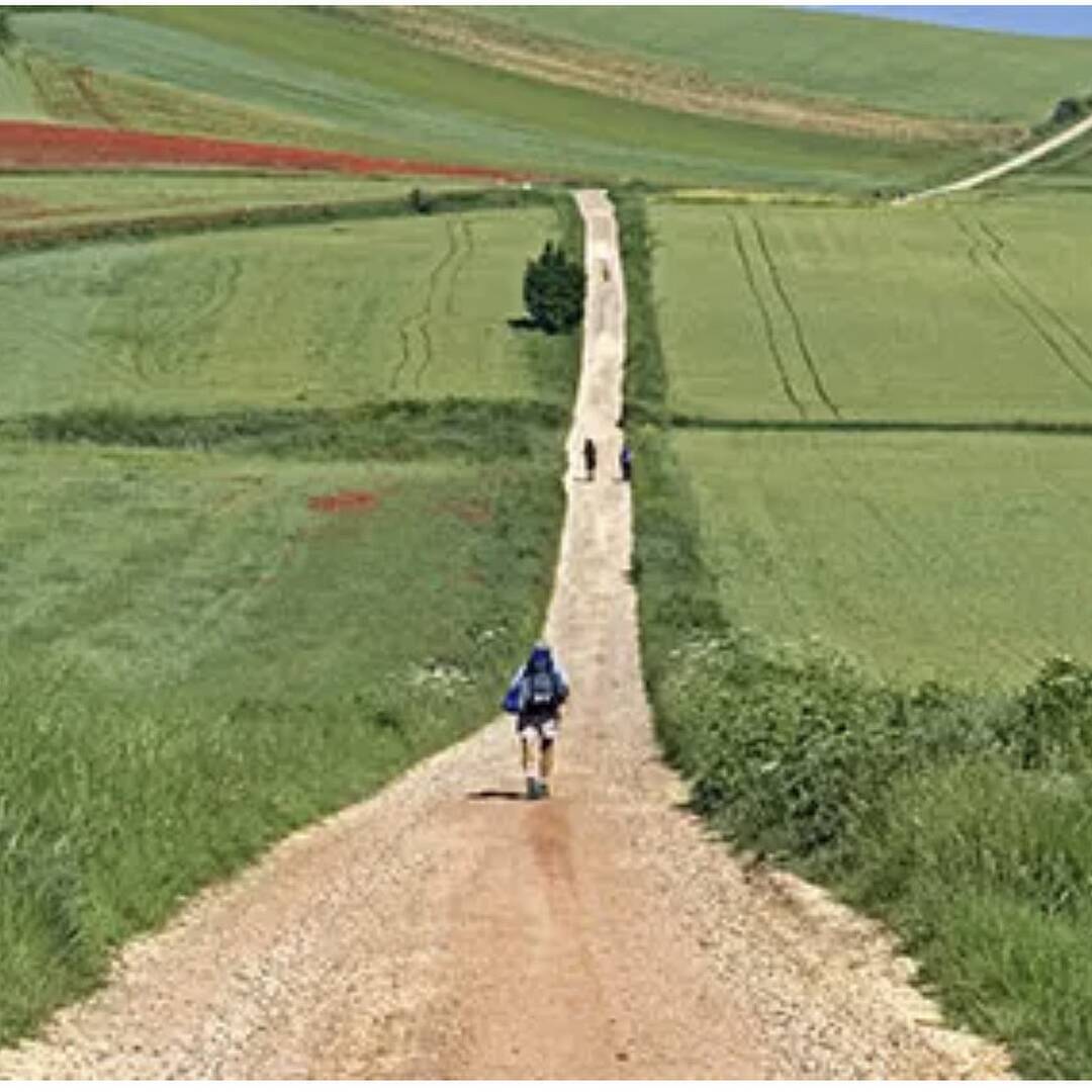 Camino Francés