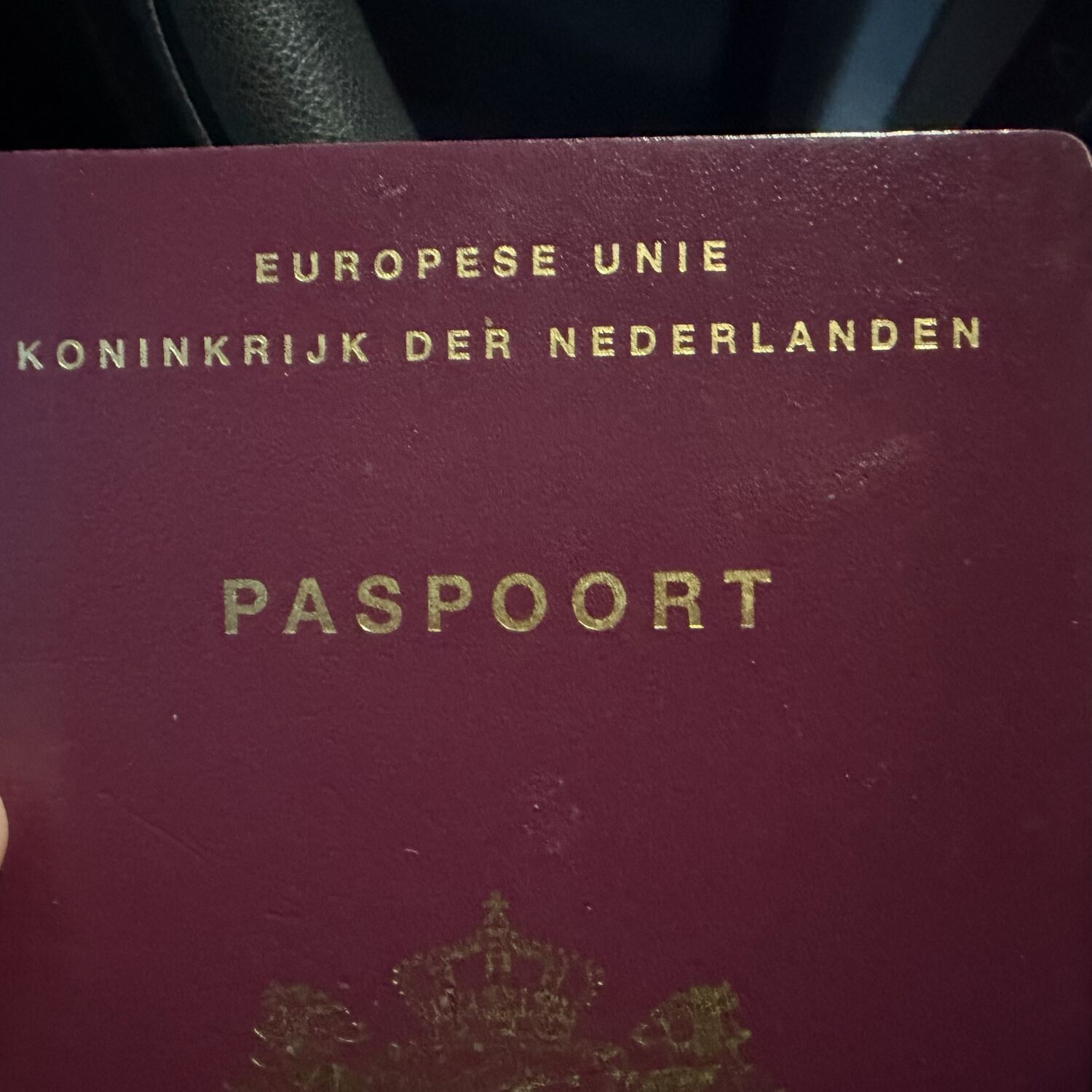 Passport Run