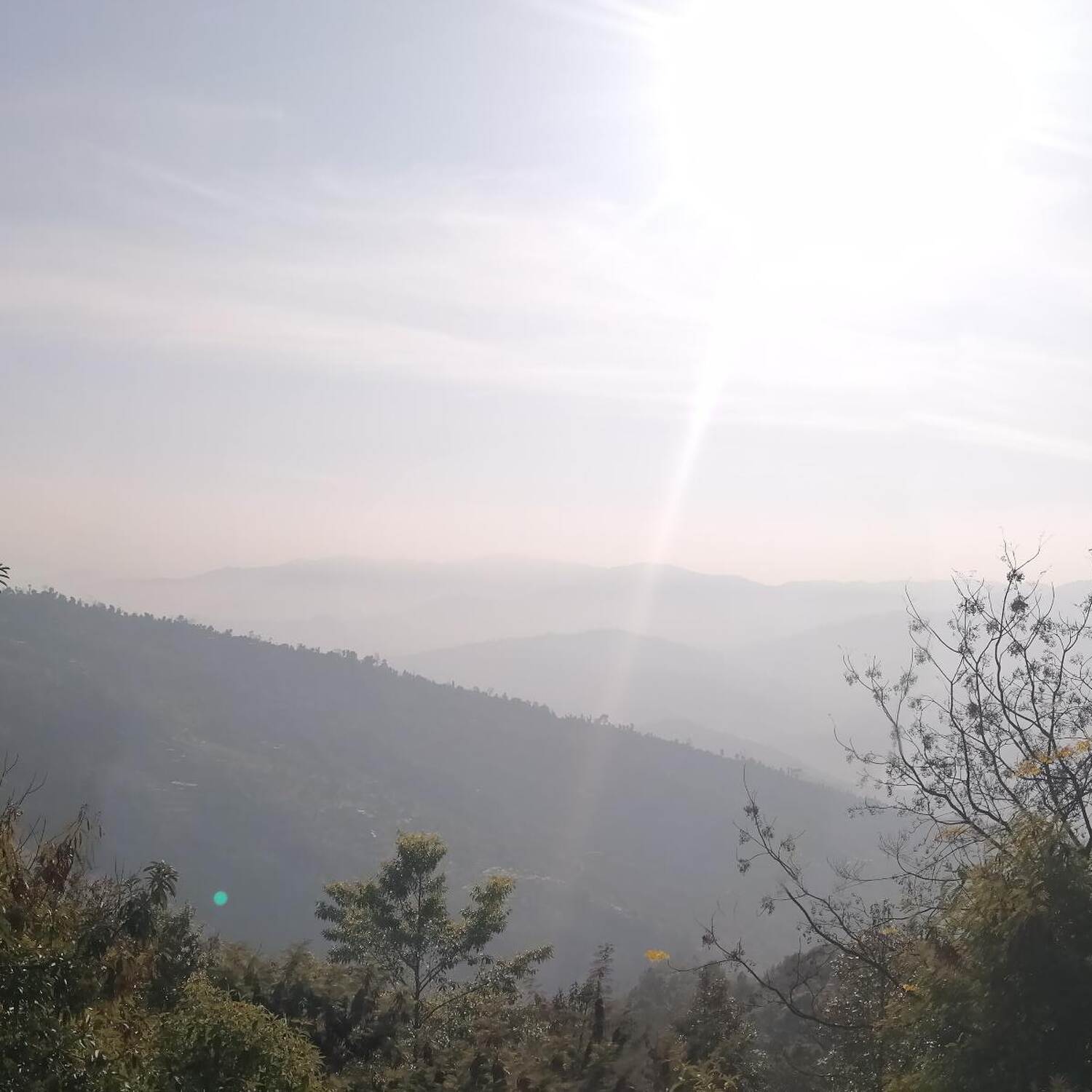 Biloba organic farm stay