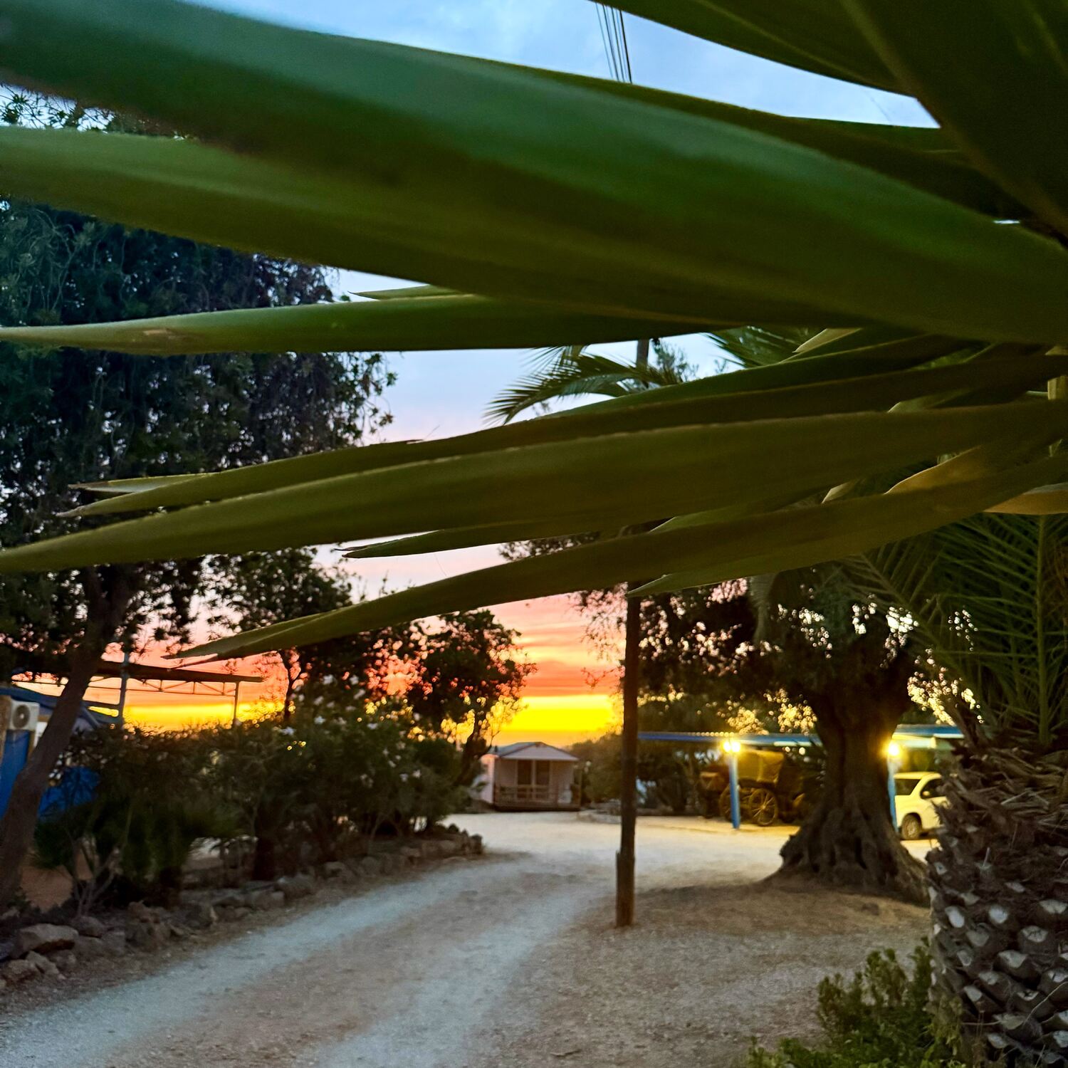 Trip to Portugal