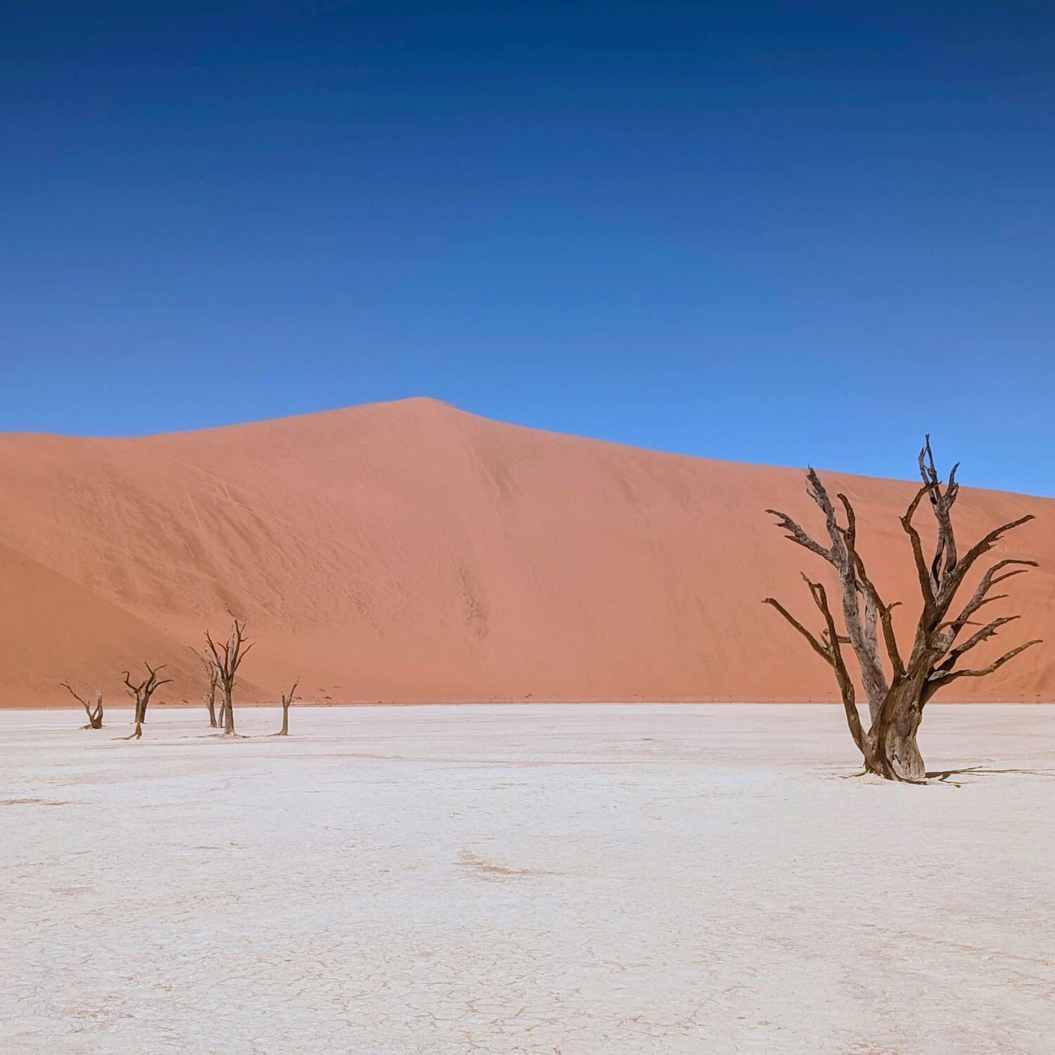 Namibia, auf ein Neues!