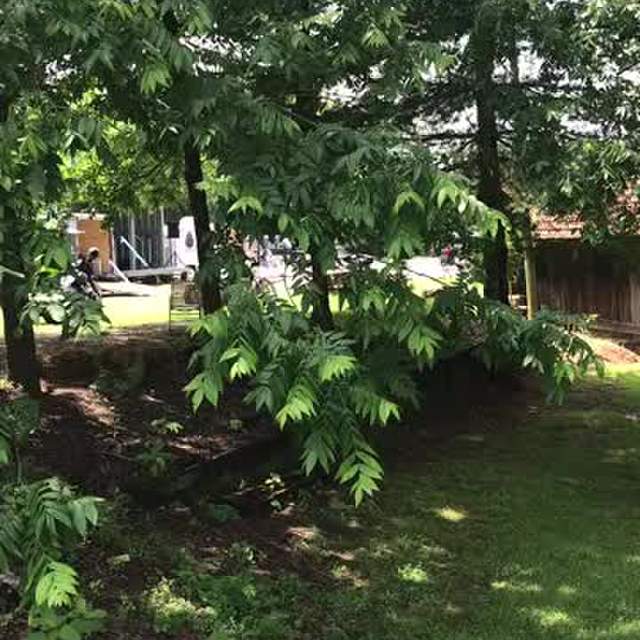 Warm Springs, GA