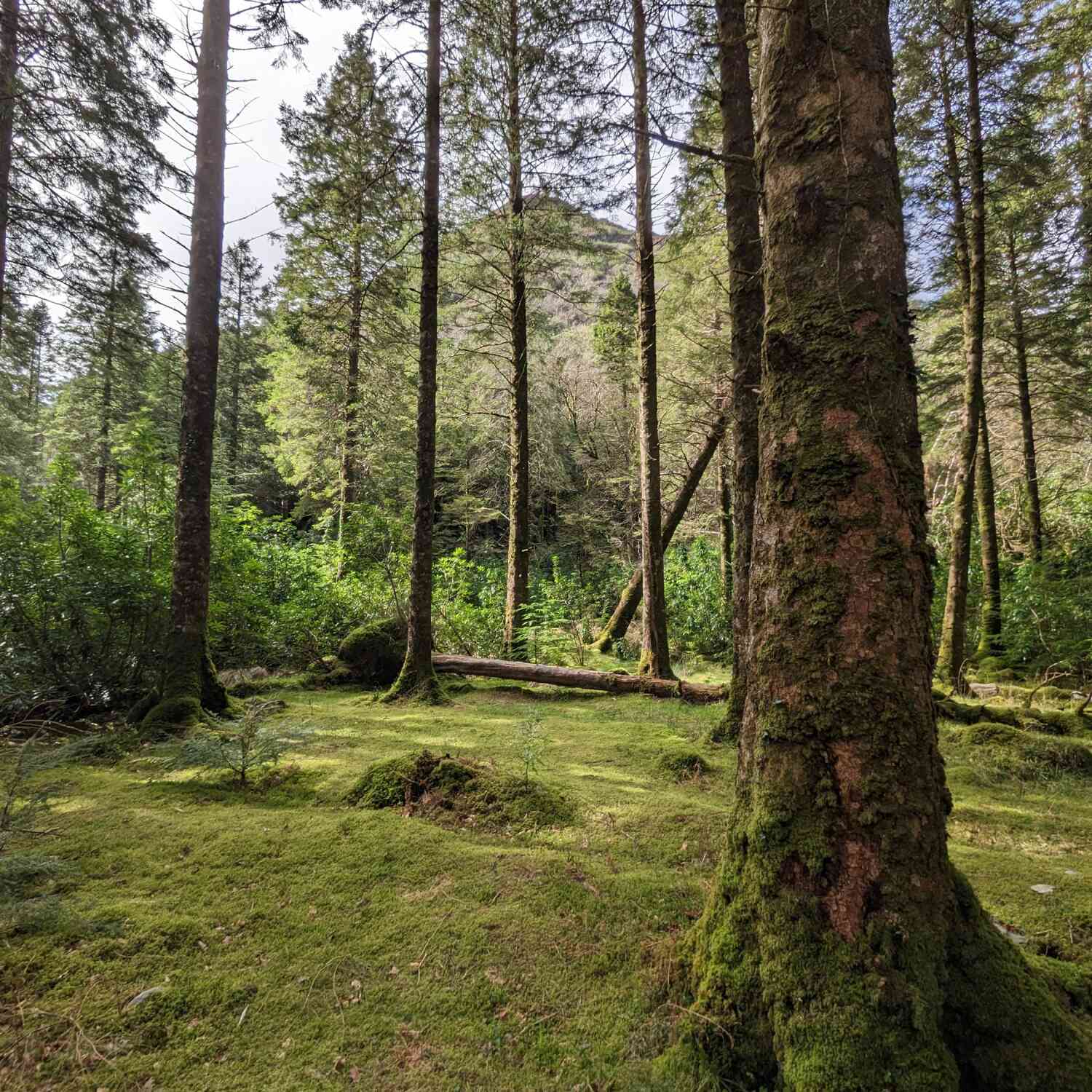 Ireland