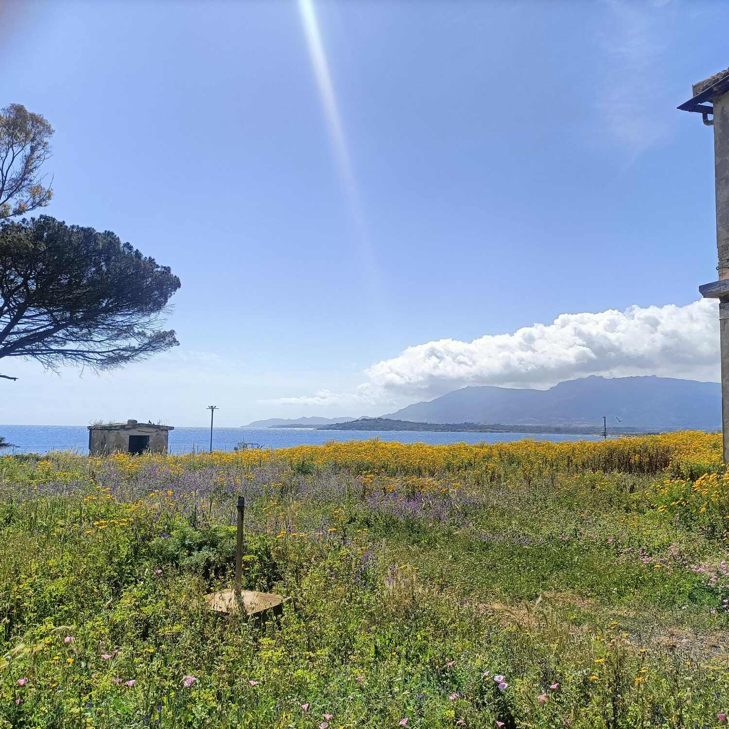 Sardegna primaverile