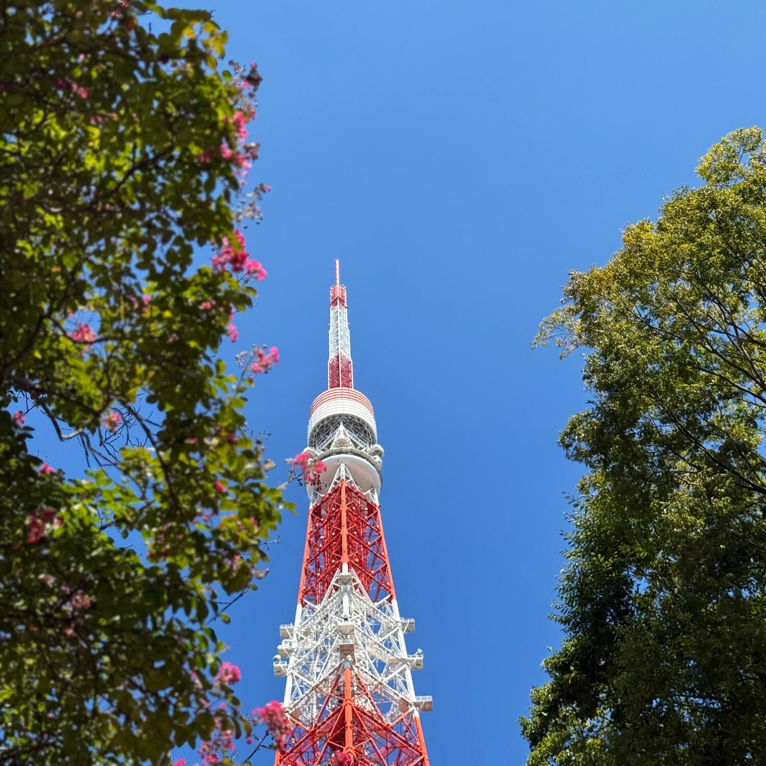 Japan 🇯🇵🍜🥟🍚