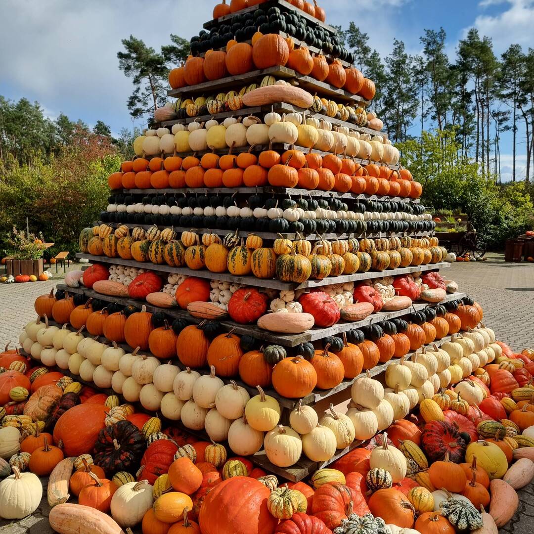 Müggelheim und Kleistow