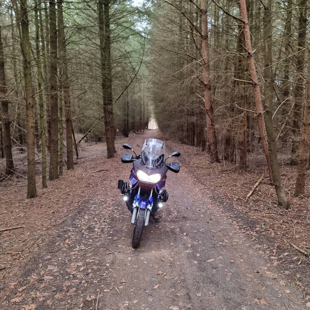 01.01.23 kurzer Jahresauftakt